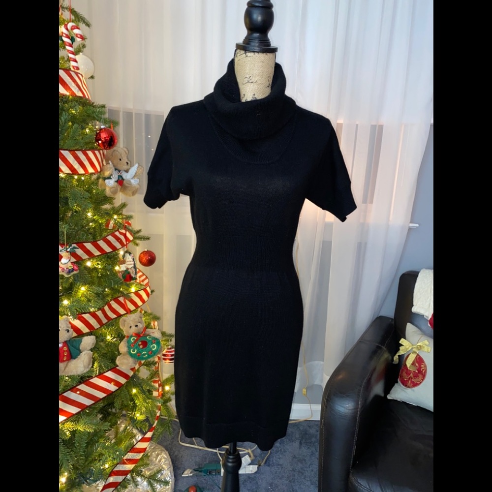 Loft Sweater Dress